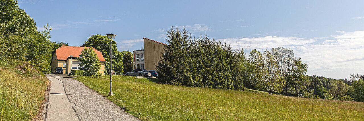 Waldweg mit Blick zum Gebäude der Bergwacht im Sommer